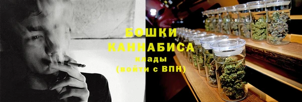 МДПВ Вяземский